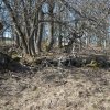 Doupovské Mezilesí (Olitzhaus) | rozvaliny zbořených usedlostí v zaniklé obci Doupovské Mezilesí - březen 2019