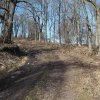 Doupovské Mezilesí (Olitzhaus) | průjezdní silnice zaniklou obcí Doupovské Mezilesí - březen 2019