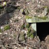 Doupovské Mezilesí (Olitzhaus) | kamenný portálek vstupu do sklepení v zaniklé obci Doupovské Mezilesí - duben 2019