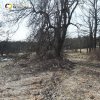 Doupovské Mezilesí (Olitzhaus) | průjezdní silnice zaniklou obcí Doupovské Mezilesí - březen 2019