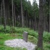 Činov (Stichlův mlýn) – kopie křížového kamene | stanoviště kamene u hřebenové cesty - červenec 2009