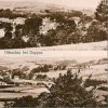 Oleška (Olleschau) | historická pohlednice obce z doby před rokem 1945