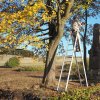 Dlouhá - pomník obětem 1. světové války | čištění znovuvztyčeného pomníku obětem 1. světové války na návrší Heinberg nad zaniklou vsí Dlouhá - říjen 2018