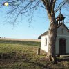 Zlatá Hvězda - kaple Panny Marie | bývalá obecní kaple Panny Marie v osadě Zlatá Hvězda od severovýchodu - březen 2017