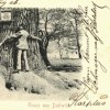 Dalovice - Körnerův dub | objímání kmene dubu na historické pohlednici z roku 1900