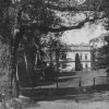 Dalovice - Körnerův dub | Körnerův dub v zámeckém parku v době po roce 1914