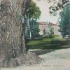 Dalovice - Körnerův dub | Körnerův dub v parku na kolorované pohlednici z roku 1920