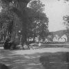Dalovice - Körnerův dub | Körnerův dub na historické fotografii z roku 1924