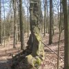 Stará Role - pomník obětem 1. světové války | boční strana pomníku padlým - duben 2013