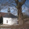 Stráň - kaple | bývalá obecní kaple ve Stráni od jihozápadu - březen 2013