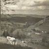 Doupov (Duppau) | krajina Doupovských hor v okolí Doupova v roce 1931