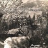 Doupov (Hradiště) - křížek | křížek na pastvinách u Doupova na fotografii z roku 1921