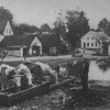 Brložec (Pürles) | napajení dobytka na návsi v Brložci před rokem 1921