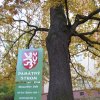 Drahovice – Mozartův dub | kmen památného stromu - říjen 2009