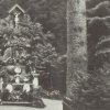 Karlovy Vary - lesní pobožnost | lesní pobožnost na fotografii z doby před rokem 1945