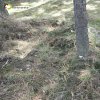 Močidlec - pomník Františka Josefa I. | terénní nerovnosti a rozvalené kameny v místech bývalého pomníku Františka Josefa I. v lese východně od Močidlece - duben 2016