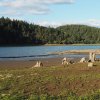 Mlyňany (Lindles) | pozůstatky zaniklé vsi Mlyňany (Lindles) se základy stržených usedlostí na dně vodní nádrže Žlutice - září 2015