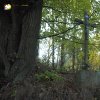 Dolánky - železný kříž | nově osazený dřevěný kříž na původním odstavci z roku 1837 - říjen 2015