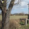 Skřipová - Klieberův kříž | zachovaný Klieberův kříž při příjezdové cestě do Skřipové - duben 2020